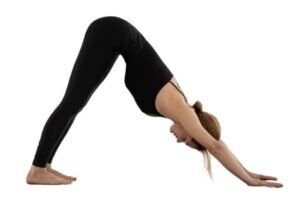 Mukha sva adhonasana (downward facing dog pose)