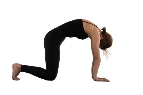 Marjariasana