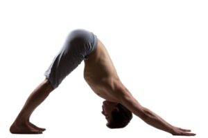 Downward-facing dog (adho mukha svanasana)