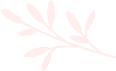 Leaves img