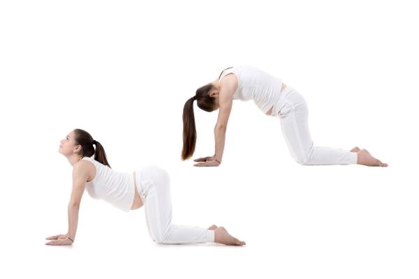 Cat-cow stretch (marjaryasana-bitilasana)